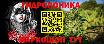 2c-b Можга