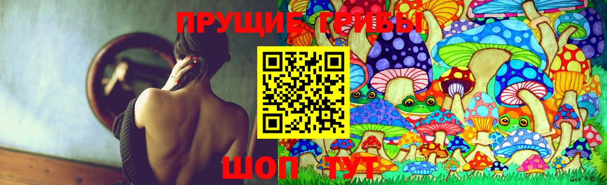 Бугуруслан  Псилоцибиновые грибы мицелий  Вход с VPN 